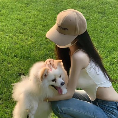 波普先生的企鹅